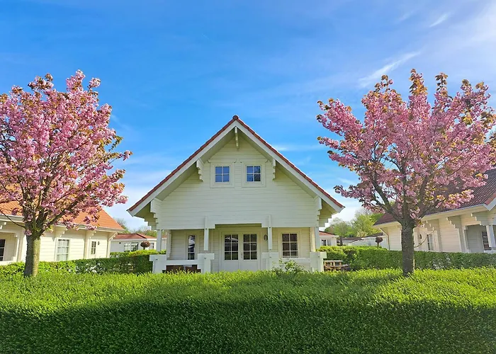 Holiday Park Dennenbos