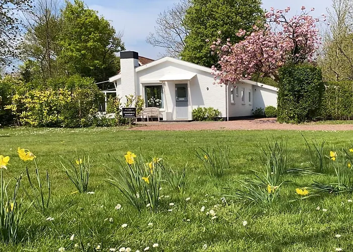 Holiday Park Dennenbos